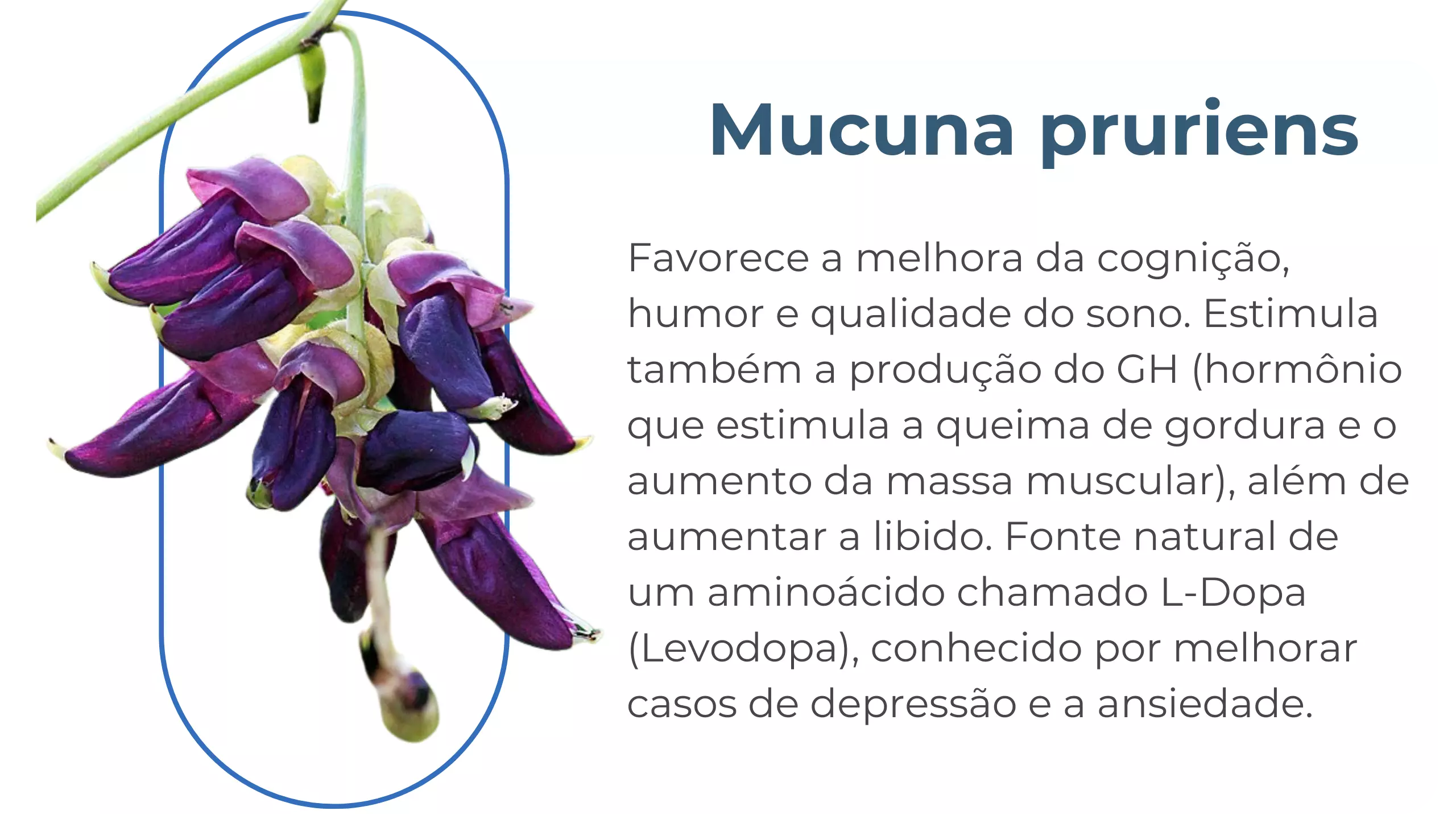 AnyConv.com__formulalipo1