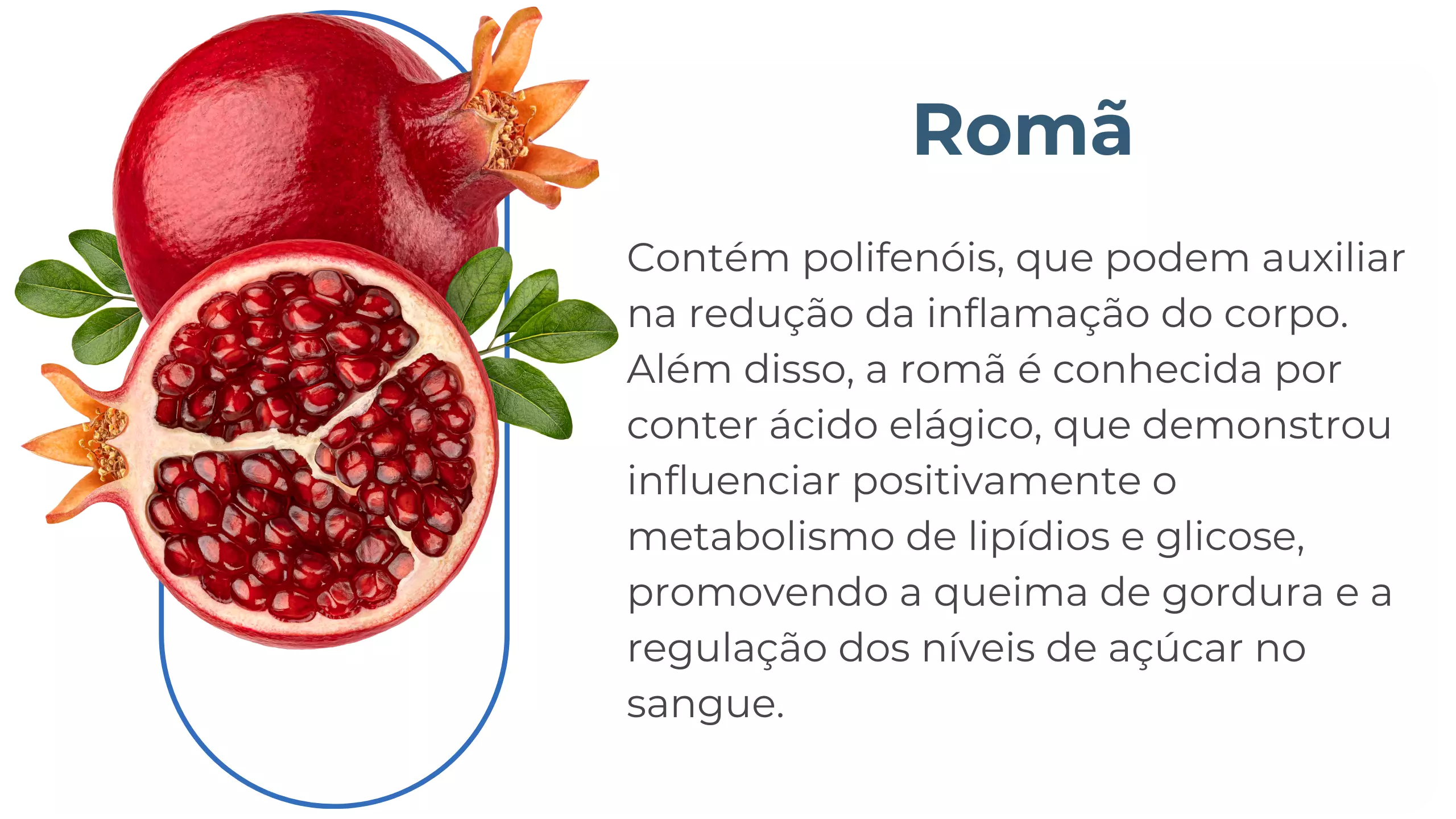 AnyConv.com__formulalipo2
