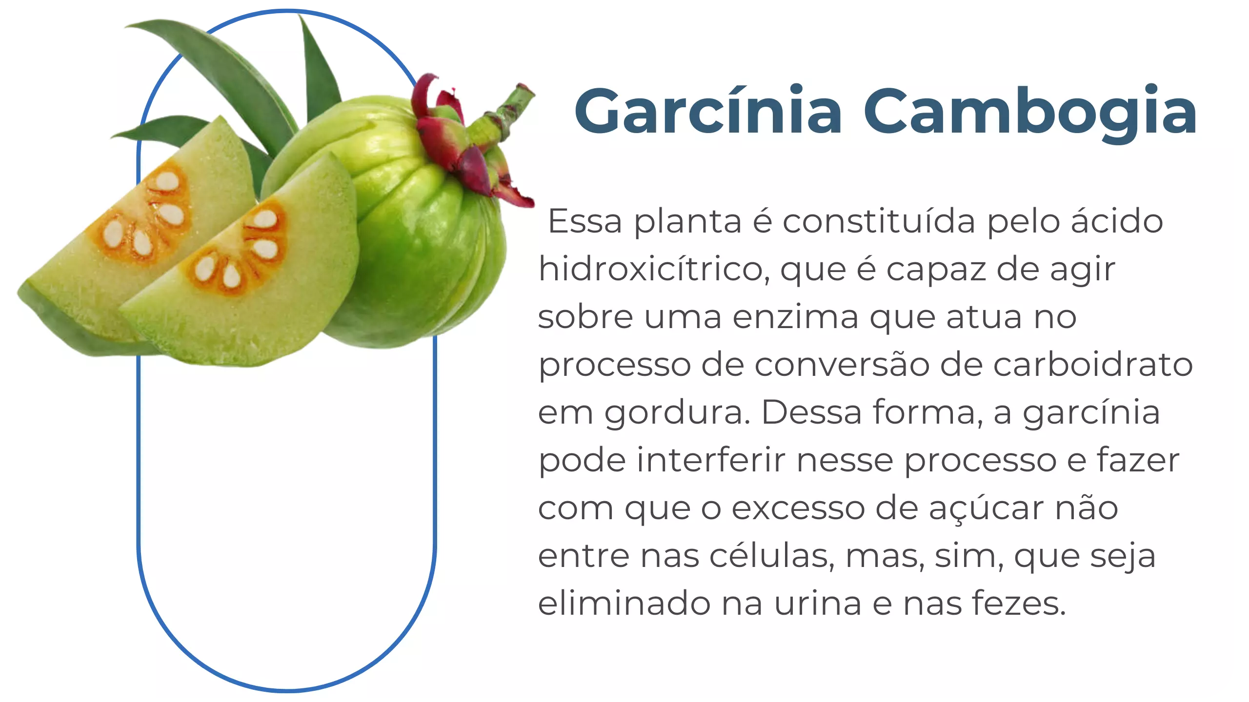 AnyConv.com__formulalipo3