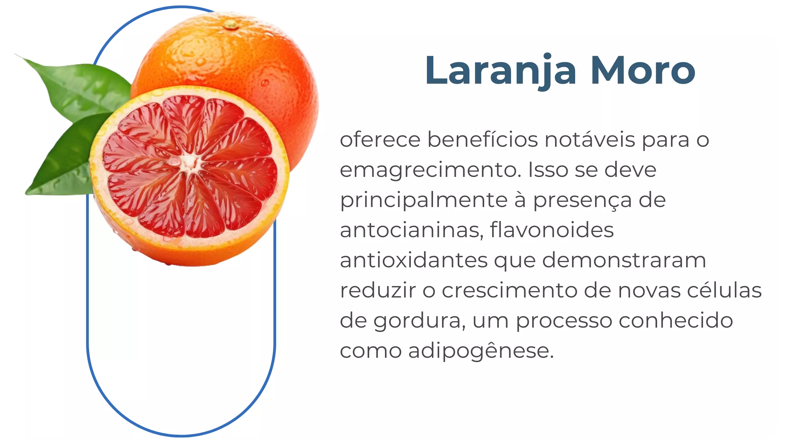 AnyConv.com__formulalipo4